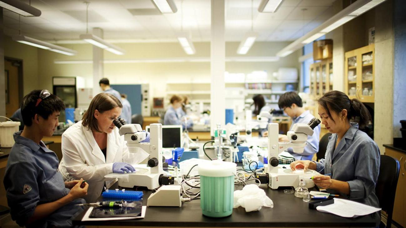 Students in lab with Professor Sara Olson